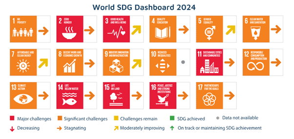 Visual maps of the Sustainable Development Goals and implementation progress